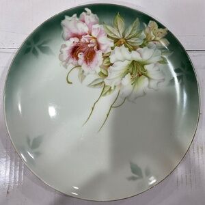 Vintage Hand painted plate